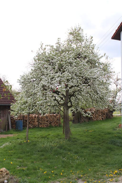 Landgasthof Weberhans Harburg  Zewnętrze zdjęcie