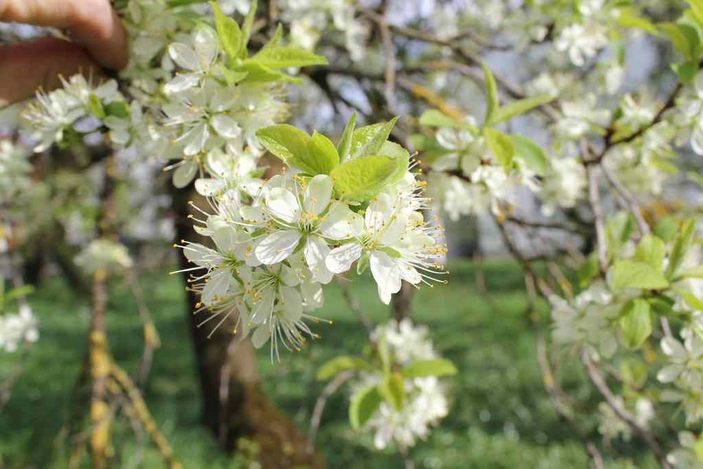 Landgasthof Weberhans Harburg  Zewnętrze zdjęcie